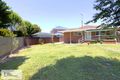 Property photo of 44 Cripps Avenue Kingsgrove NSW 2208