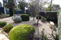 Property photo of 3 Michelmore Street Yorketown SA 5576