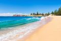 Property photo of 22 Cliff Road Collaroy NSW 2097