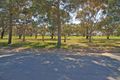 Property photo of 25 Park Terrace Maitland SA 5573