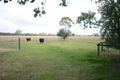 Property photo of 845 Romawi Road Forge Creek VIC 3875