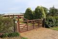 Property photo of 18 Kingfisher Place Bodalla NSW 2545