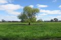 Property photo of 175 Andrews Road Merrigum VIC 3618
