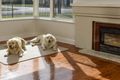 Property photo of 18 Robe Road Penola SA 5277