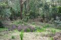Property photo of 5 Roma Parade Upwey VIC 3158