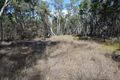 Property photo of LOT 3 Yarrabee Lane Nundubbermere QLD 4380