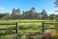 Property photo of 43 Treesbank Place Nulkaba NSW 2325