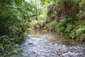 Property photo of 1509 Cape Tribulation Road Cow Bay QLD 4873