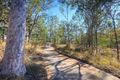 Property photo of 34 Kindra Avenue Karana Downs QLD 4306