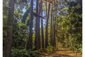 Property photo of 10 Mason Road Kuranda QLD 4881