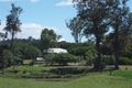 Property photo of 143 Morrish Road Julatten QLD 4871