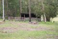 Property photo of 177 Oyster Shell Road Lower Mangrove NSW 2250