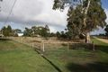 Property photo of 202 Gordon Street Naracoorte SA 5271