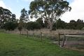 Property photo of 202 Gordon Street Naracoorte SA 5271