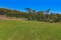 Property photo of 19 Adele Avenue Wadalba NSW 2259