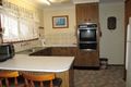 Property photo of 46 Tenth Avenue Budgewoi NSW 2262