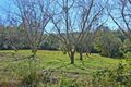 Property photo of 132 Lower Landershute Road Landers Shoot QLD 4555