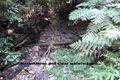 Property photo of 2556 Kalang Road Kalang NSW 2454