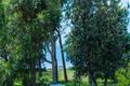 Property photo of 110 Foreshore Drive Salamander Bay NSW 2317