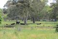 Property photo of 22 Laurel Road Meadows SA 5201