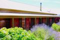 Property photo of 3 Digby Avenue McLaren Vale SA 5171