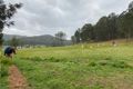 Property photo of 3226 Great North Road Wollombi NSW 2325