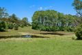 Property photo of 71 Flowers Road Binna Burra NSW 2479