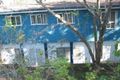 Property photo of 231 Swann Road Taringa QLD 4068