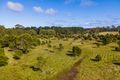 Property photo of LOT 20 Braidwood Road Sassafras NSW 2622