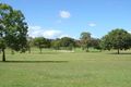 Property photo of 19 Cadell Drive Helensvale QLD 4212