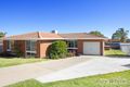 Property photo of 17 Camira Crescent Hillvue NSW 2340