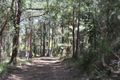 Property photo of 37 Gold Coast Road Ravenshoe QLD 4888