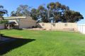 Property photo of 41 Adelaide Road Pinnaroo SA 5304