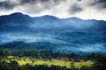 Property photo of 175 Darkwood Road Thora NSW 2454