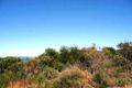 Property photo of 1 Anthony Crescent Killcare NSW 2257