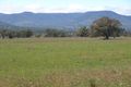 Property photo of 1077 Pandora Pass Road Bundella NSW 2343