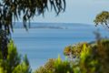 Property photo of 14 Wallace Street Lorne VIC 3232