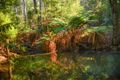 Property photo of 4 Redruth Court Spreyton TAS 7310