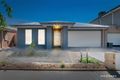 Property photo of 11 Ballantine Street Tarneit VIC 3029