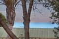 Property photo of 9 Capri Crescent Sellicks Beach SA 5174