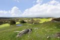 Property photo of 82 Mount Magnificent Road Mount Magnificent SA 5210