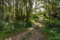Property photo of 212 Brewers Road Cooran QLD 4569