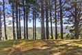 Property photo of 245 Busty Road Apollo Bay VIC 3233