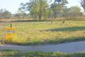 Property photo of 43 Ingram Drive Gracemere QLD 4702