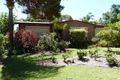 Property photo of 3 Willoughby Street Stirling North SA 5710