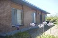 Property photo of 50 Hygeia Street Rye VIC 3941
