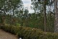 Property photo of 8 Cornwall Court Bellbird Park QLD 4300