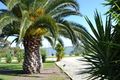 Property photo of 110 McFarlane Road Lake Charm VIC 3581