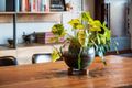 Property photo of 5/2 Saltriver Place Footscray VIC 3011