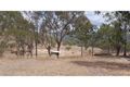 Property photo of 4 Flemington Lane Horse Creek QLD 4714